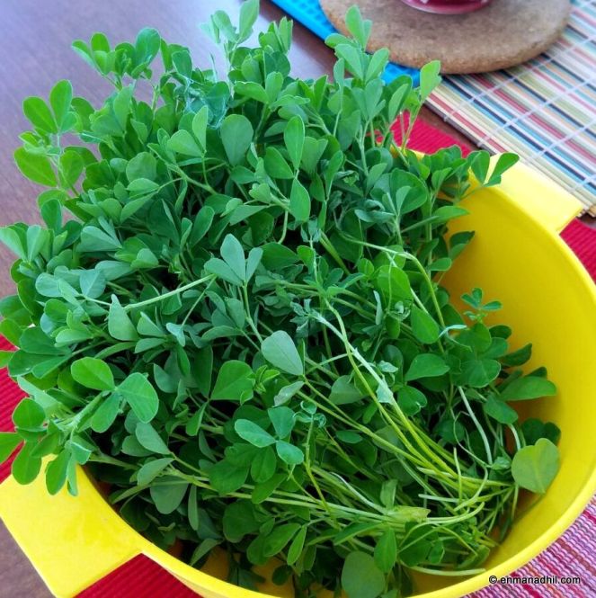 1-WhatsApp Image 2017-05-24 at 3.27.18 PM