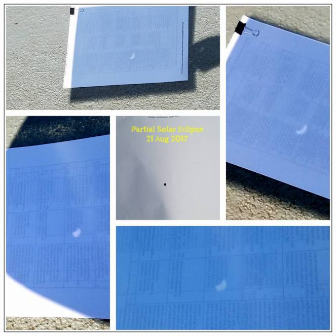 PartialSolarEclipse2017sunnyvalePinHoleCameraSimple
