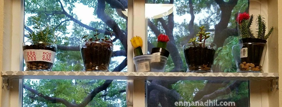 WindowLedgewithLivePlants